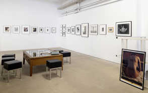 Museum Item Image